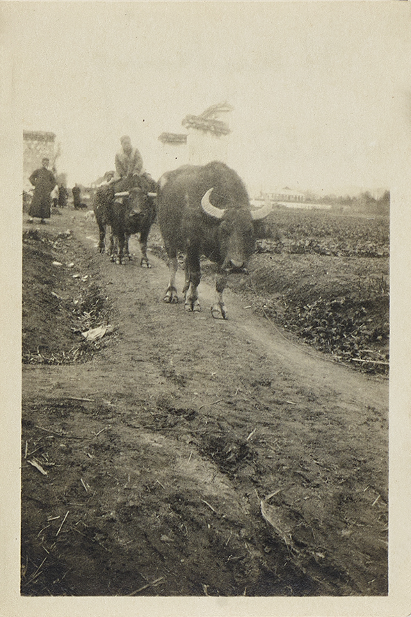 1920年中国青岛、南京、香港等黑白照片14